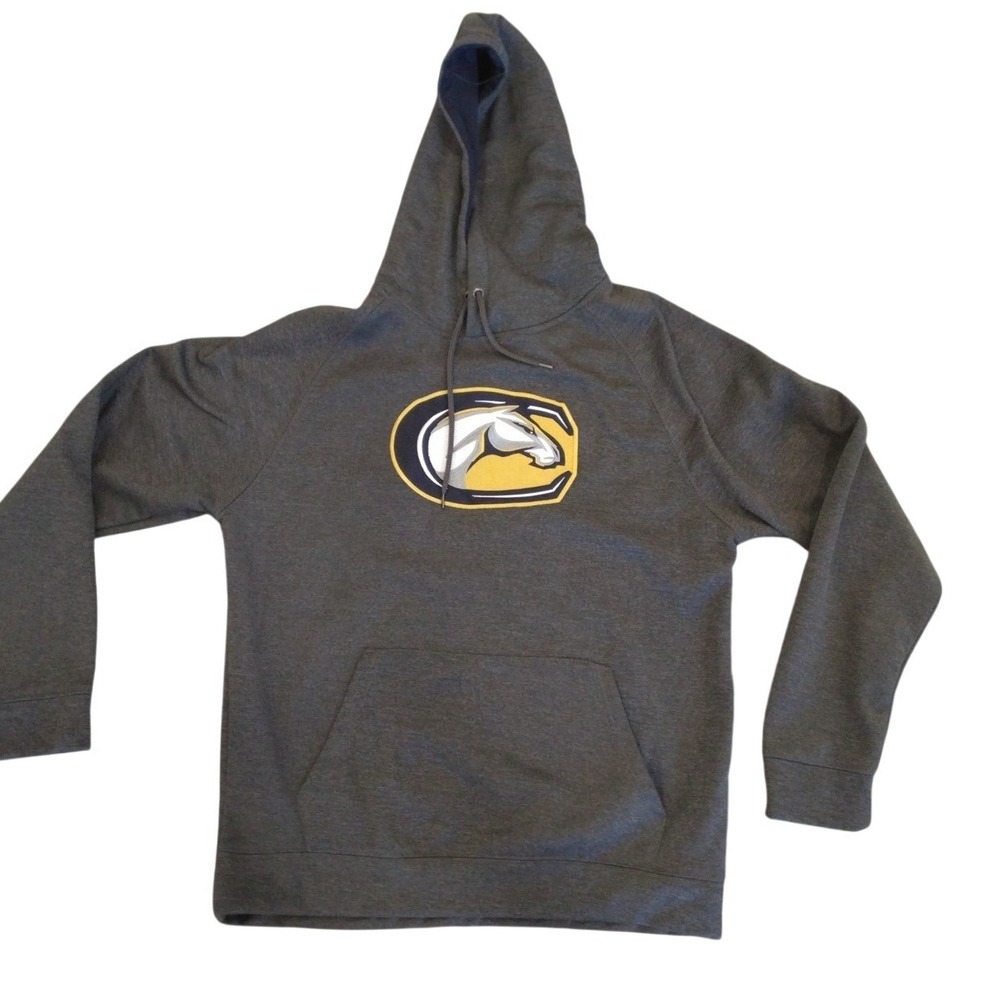 Colosseum UC Davis Aggies Hoodie Mens Large Gray Embroidered Pullover Sweatshirt